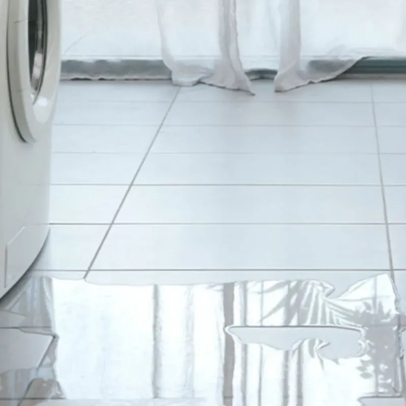 Appliance Leak Cleanup in Hamilton, MO
