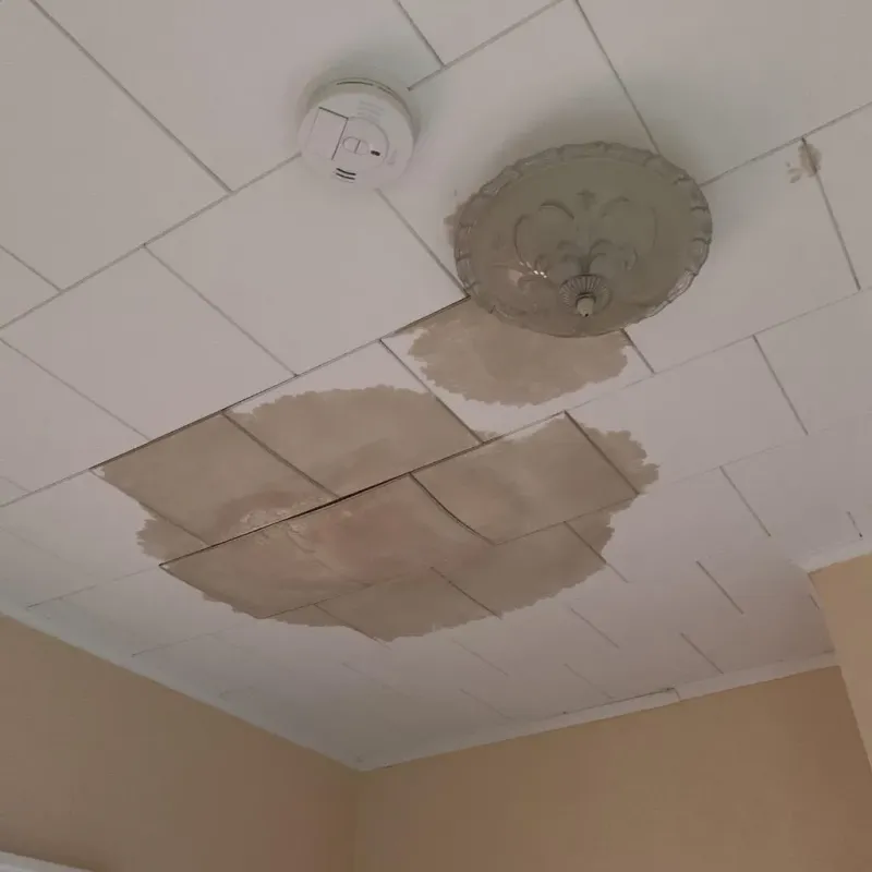 Ceiling Water Damage Repair in Hamilton, MO