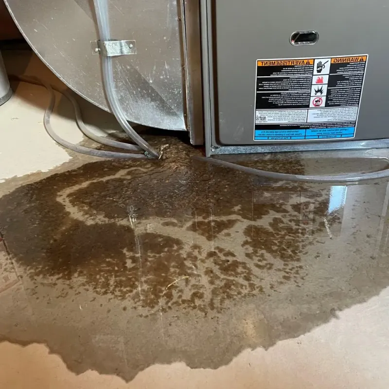Pipe Burst and Leak Restoration in Hamilton, MO