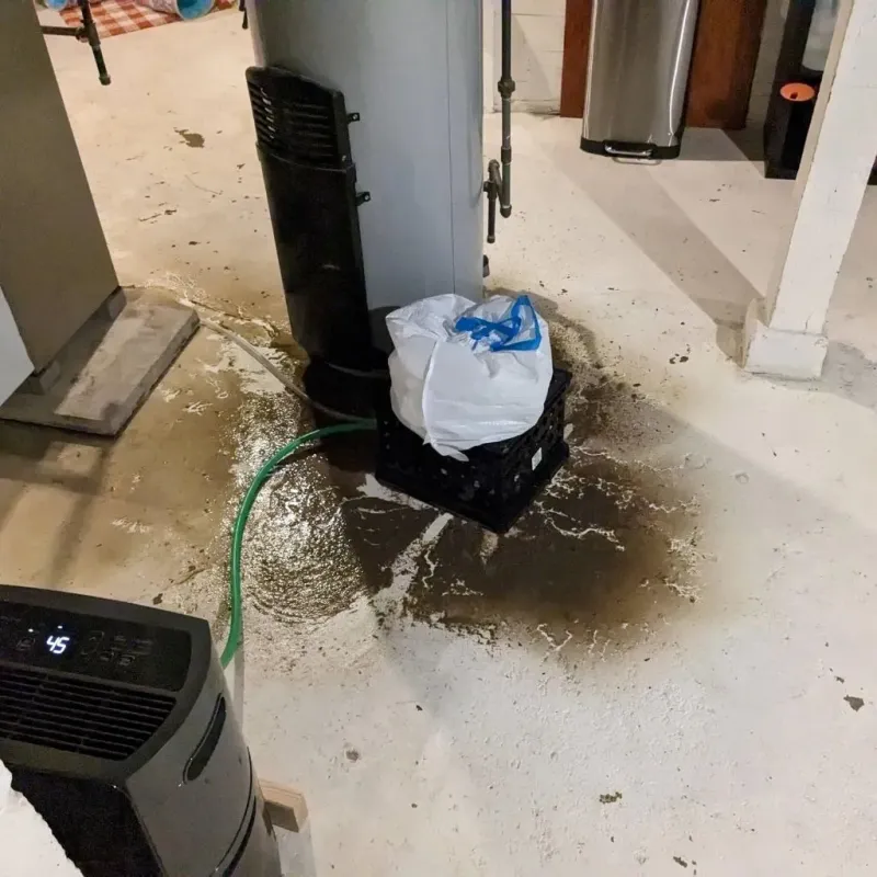 Sewage Backup Cleanup Service in Hamilton, MO
